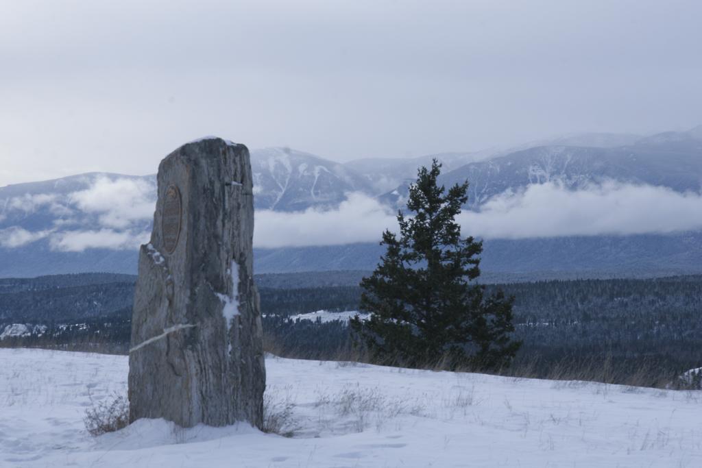 Mountain View Radium - Copper Horn Village Appartement